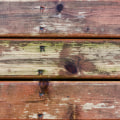 Understanding Mold and Mildew Growth on Decks