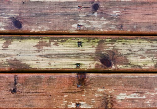 Understanding Mold and Mildew Growth on Decks