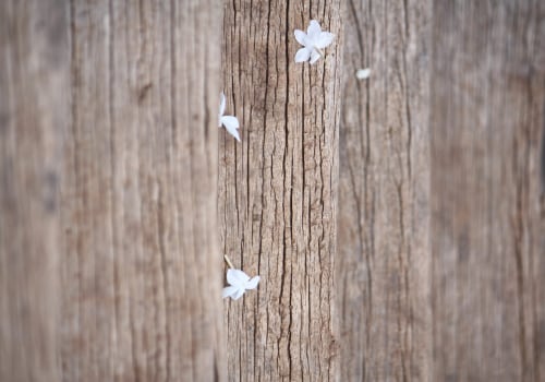 How to Repair Cracks and Splinters on Your Deck